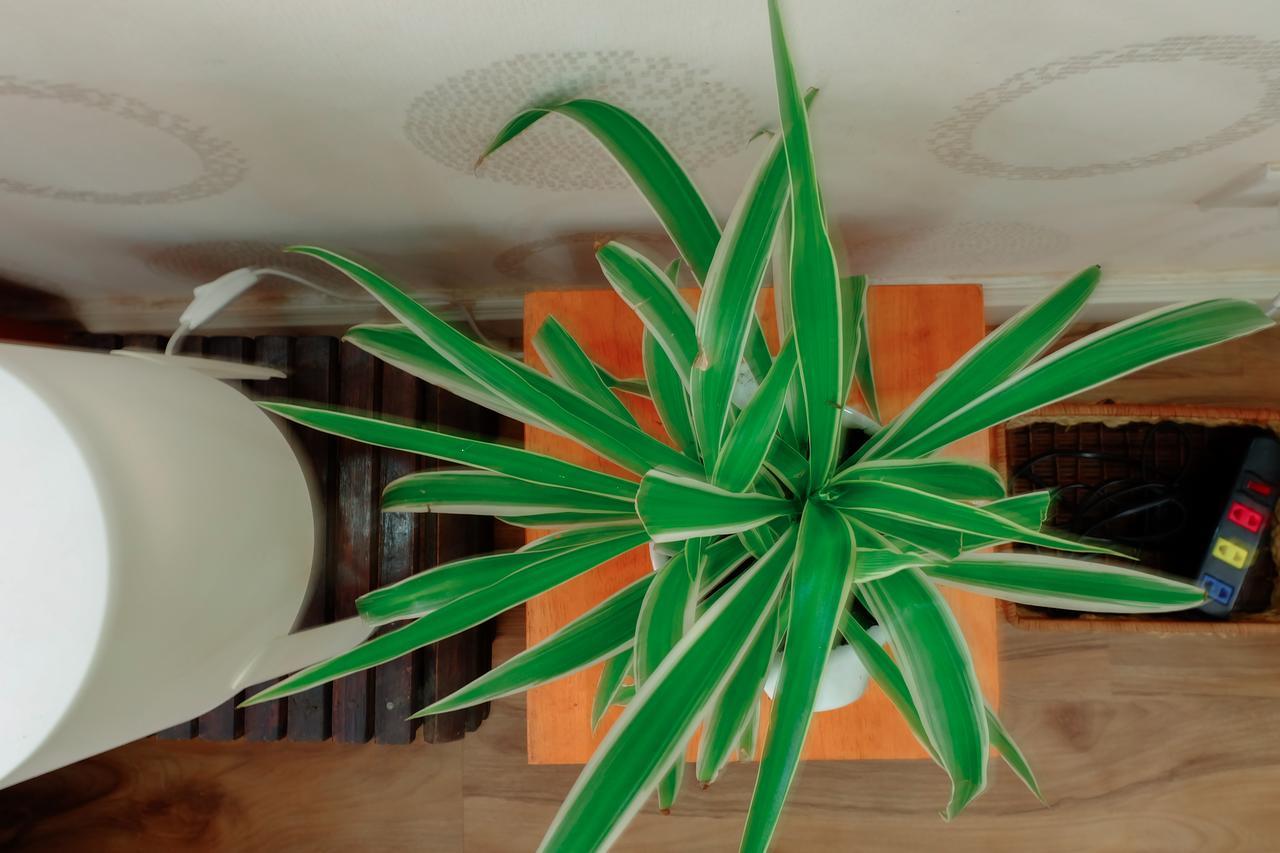 Magari Homestay Ho Chi Minh-staden Exteriör bild