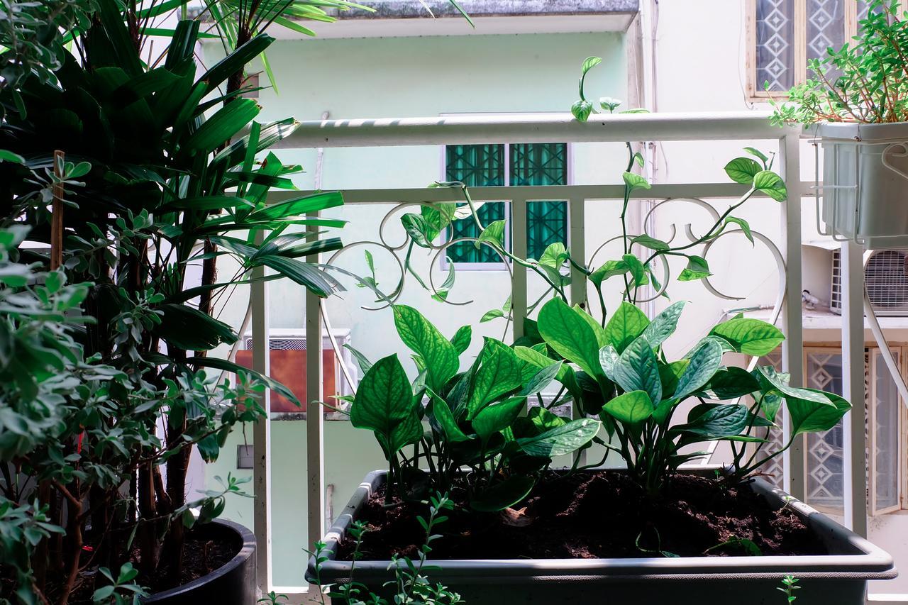 Magari Homestay Ho Chi Minh-staden Exteriör bild