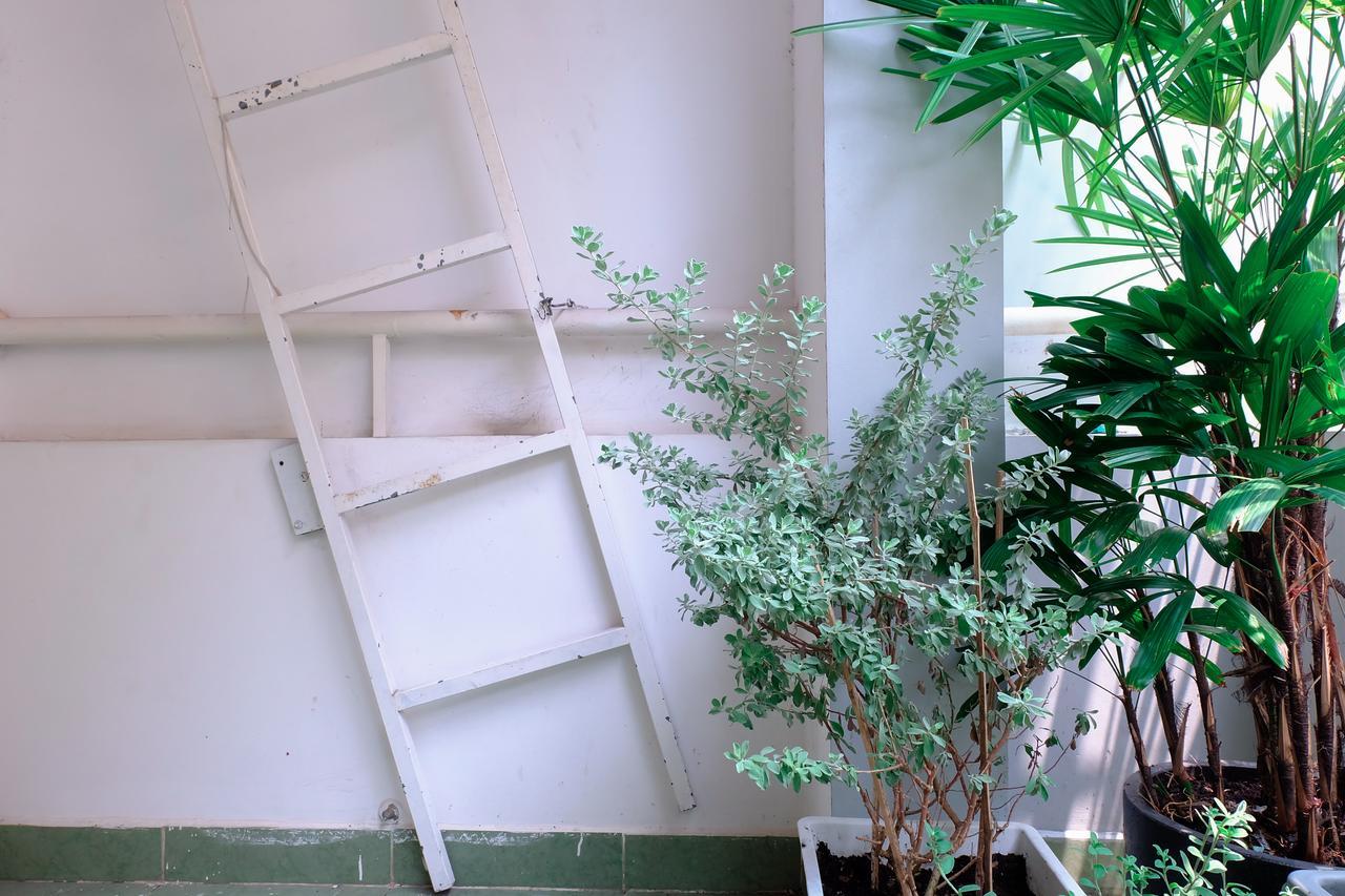 Magari Homestay Ho Chi Minh-staden Exteriör bild